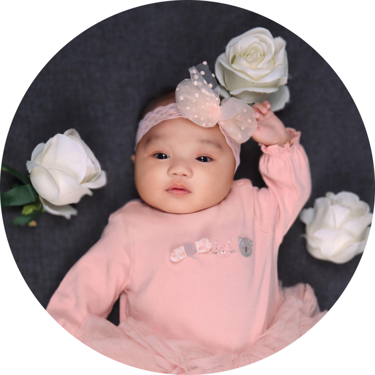 27259-gallery-1671952374.jpg