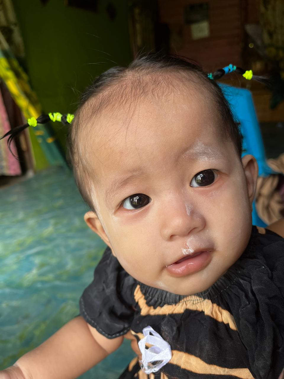 27259-gallery-1671952374.jpg