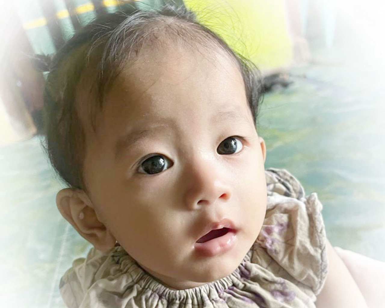27259-gallery-1671952199.jpg