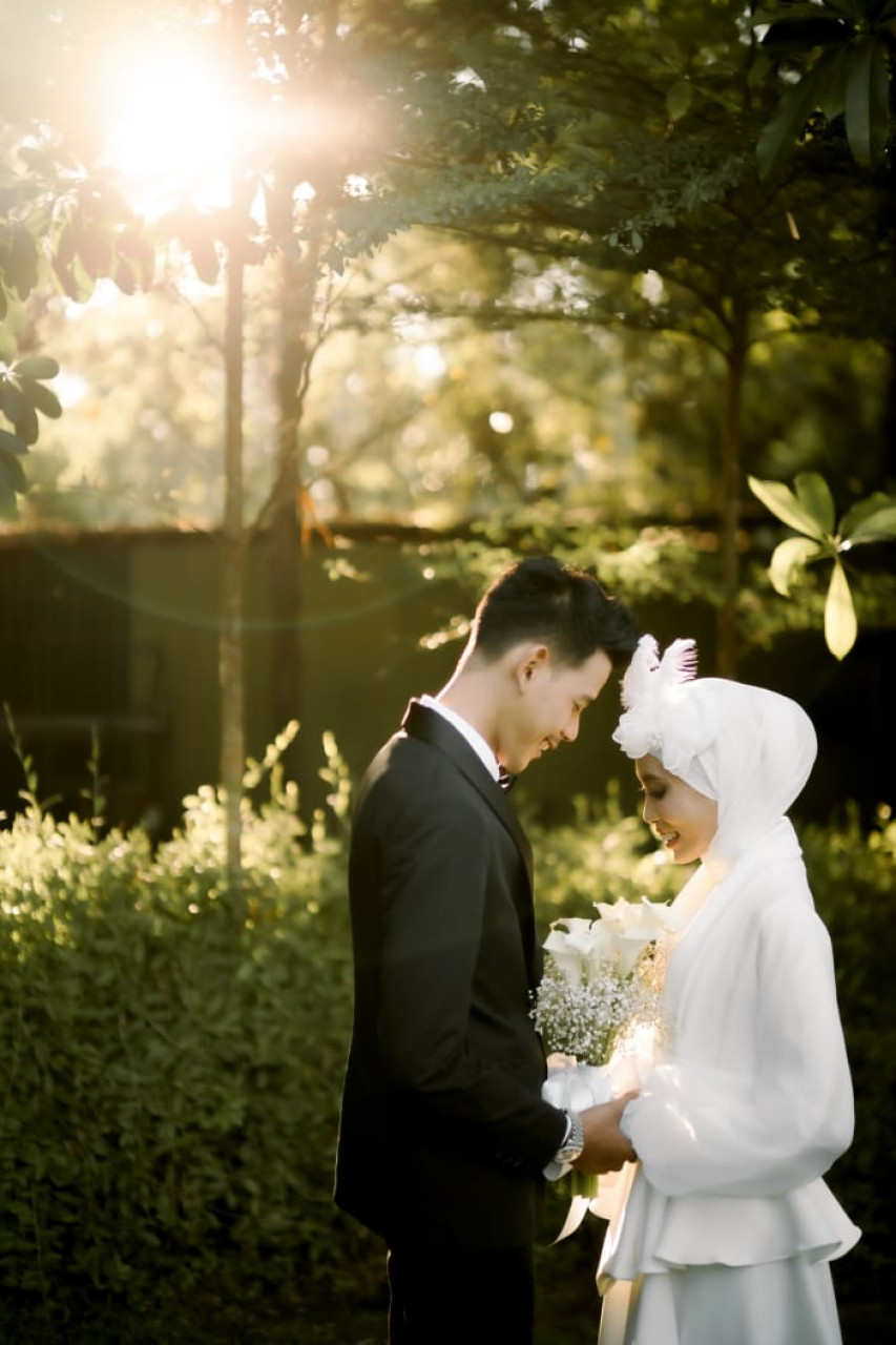 249089-gallery-rDq6YyXTsC.jpg