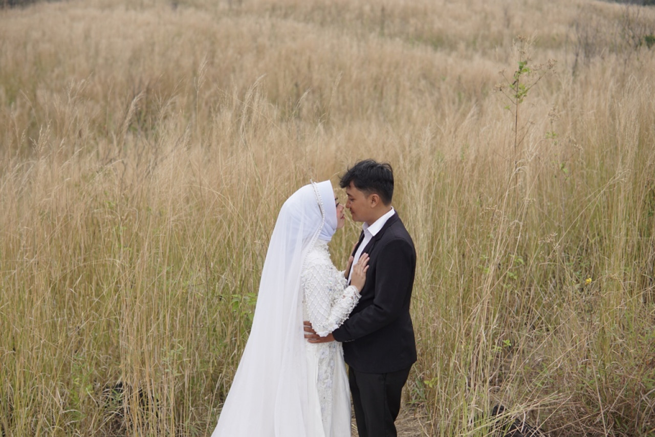 147961-gallery-1697018895.jpg