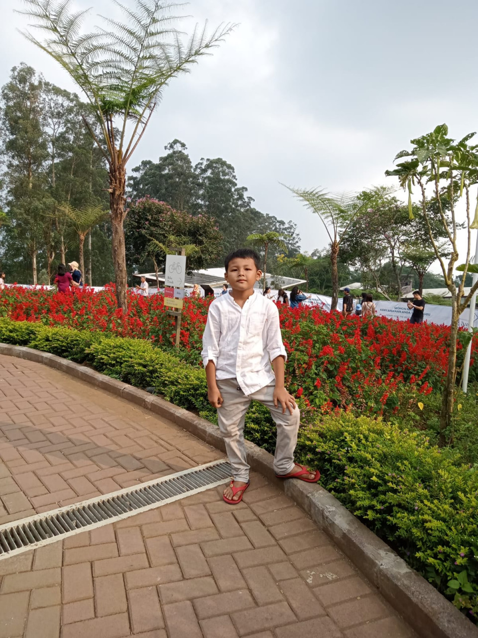 26803-gallery-1671248679.webp