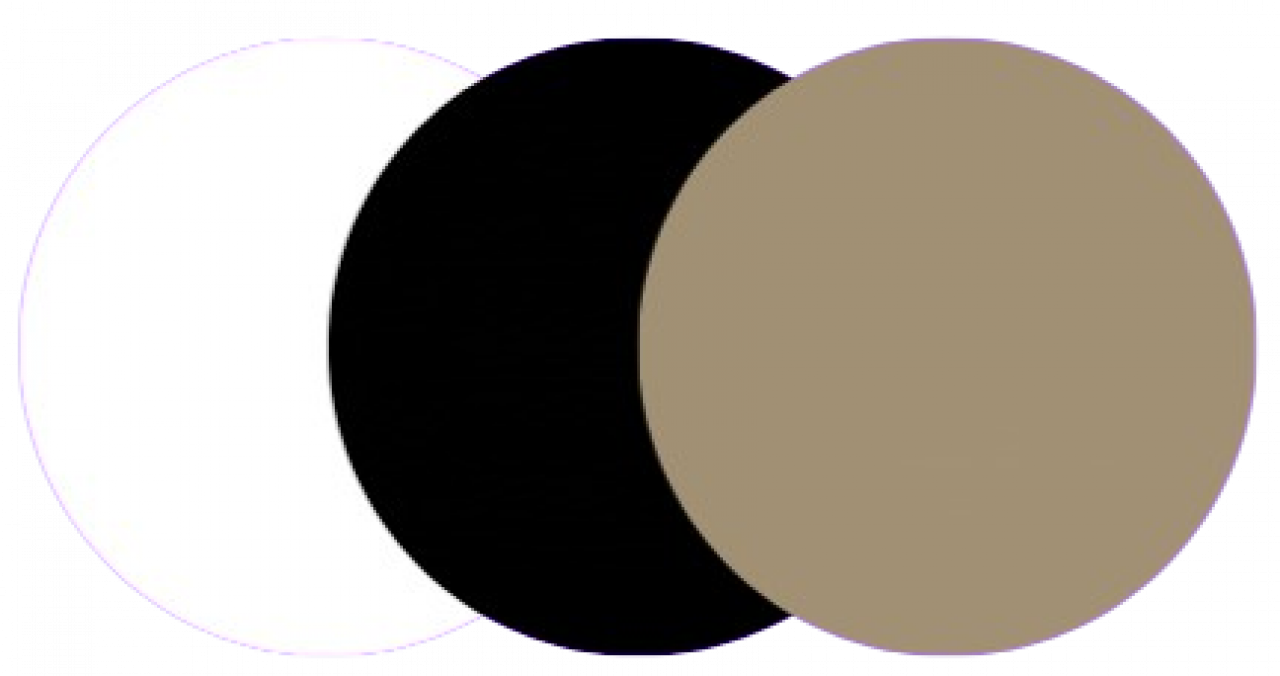 235208-gallery-HDoKkfOSD4.png