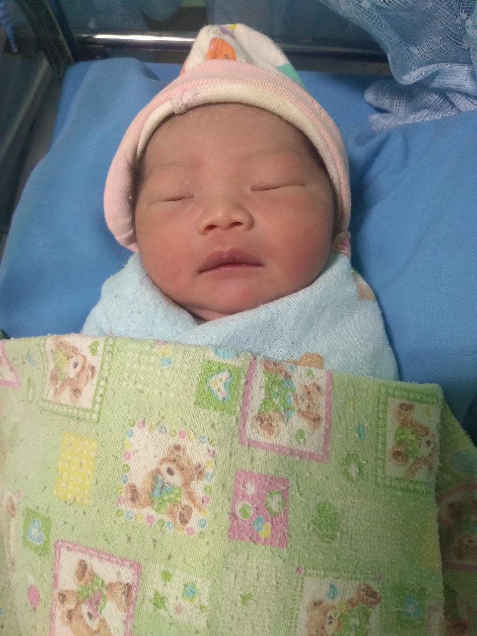 14074-gallery-1657368781.png