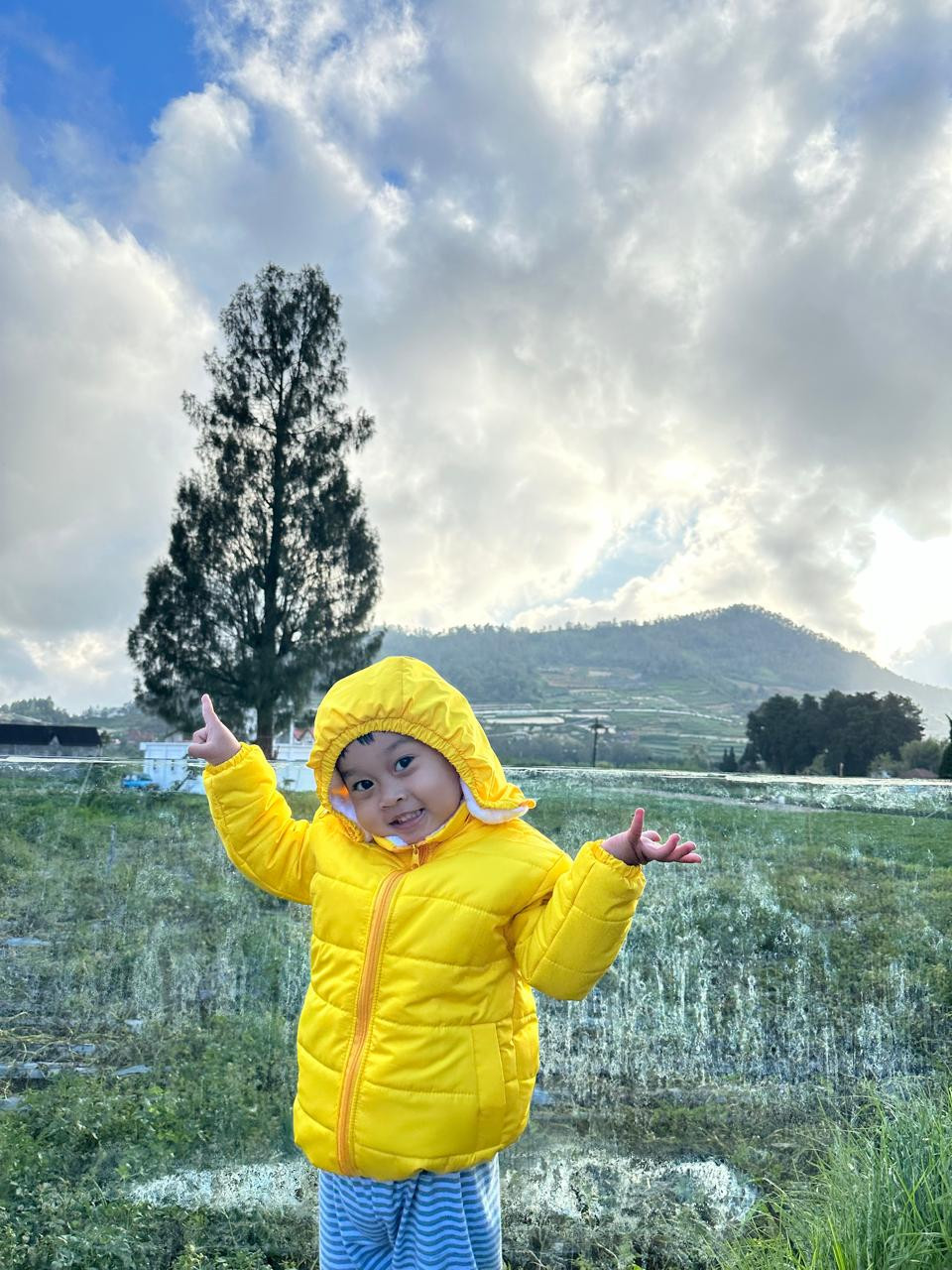 26803-gallery-1671248679.webp
