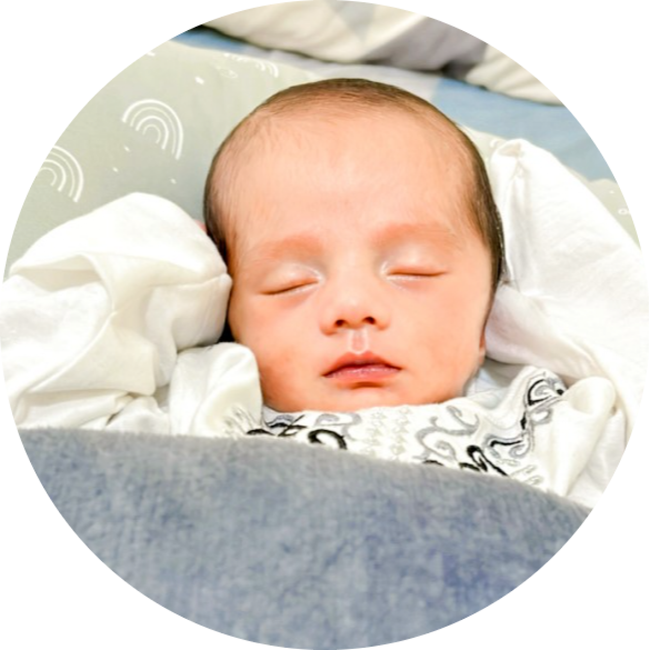 14074-gallery-1657368781.png