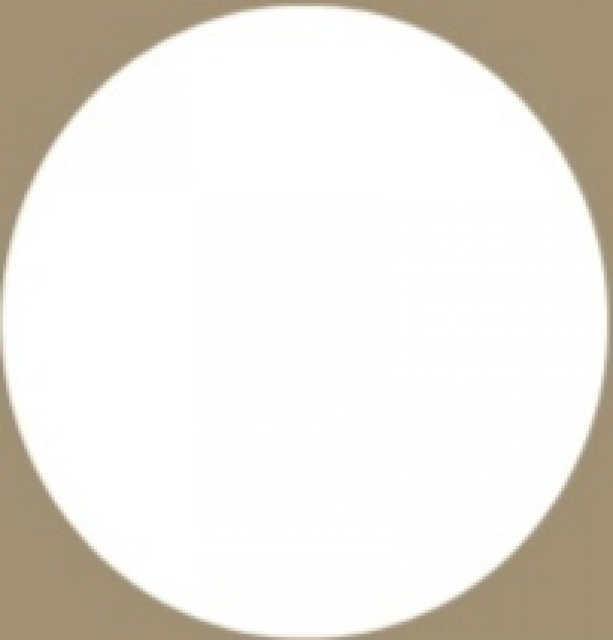 no-image.jpg