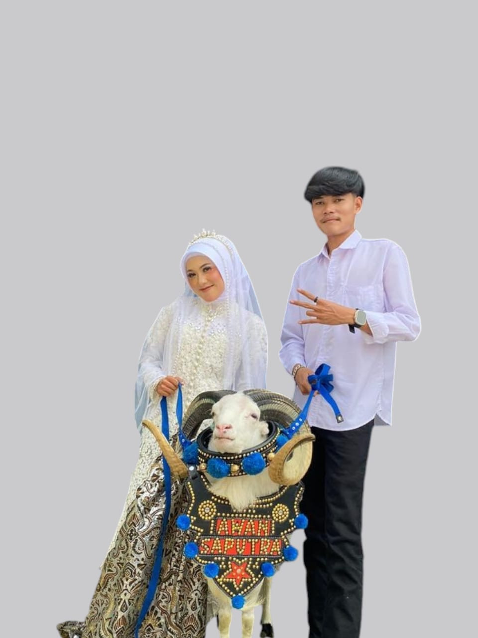 no-image.jpg