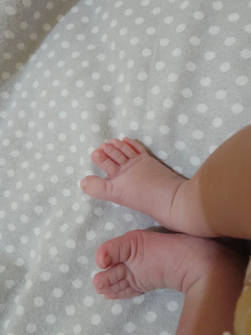 33886-gallery-1683075224.jpg