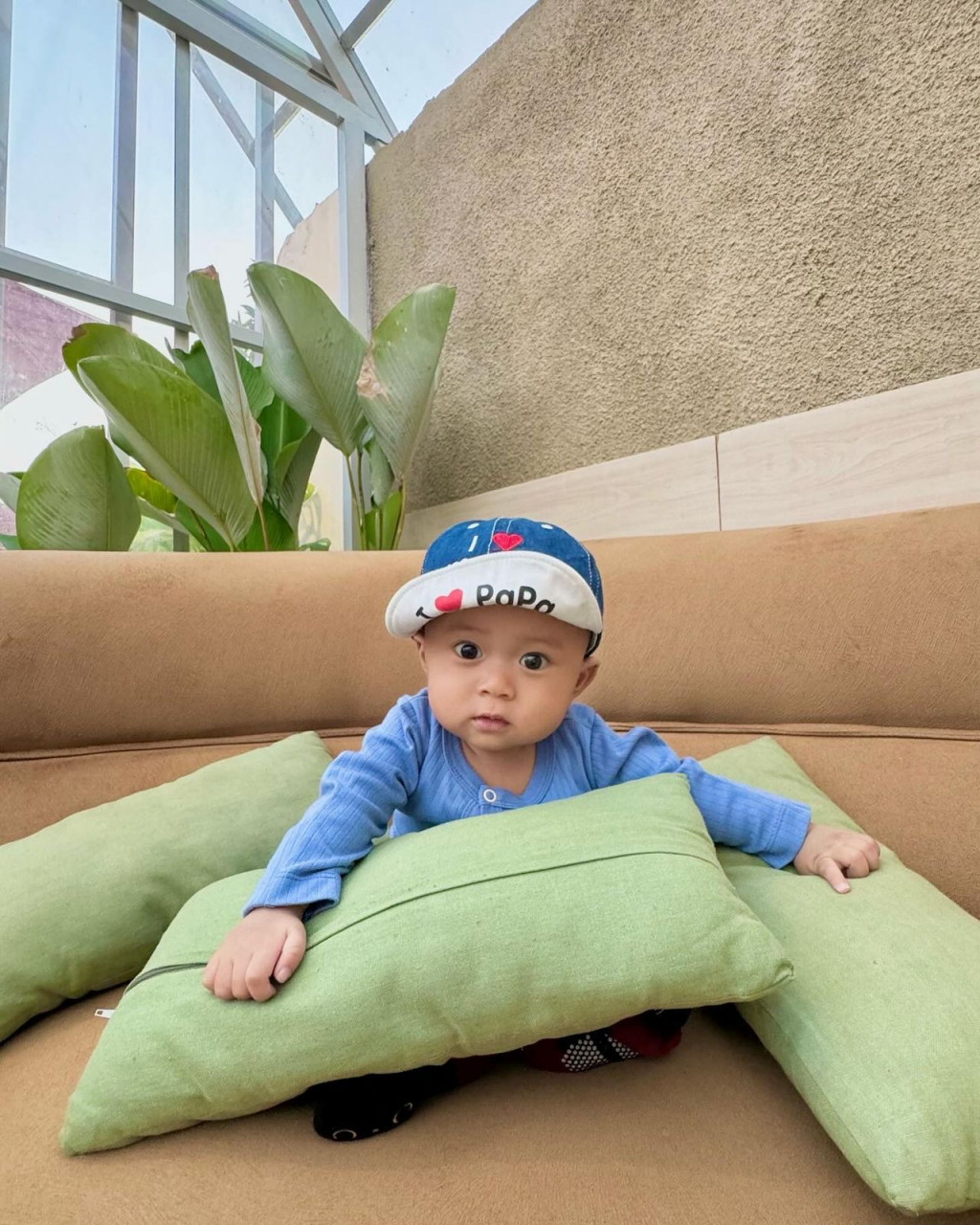 26803-gallery-1671248679.webp