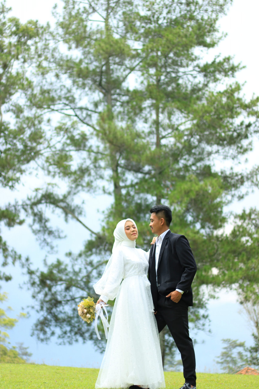 27214-gallery-1671894147.jpg