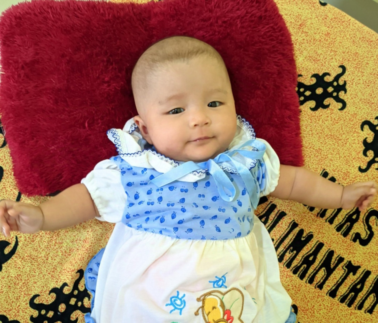 14074-gallery-1657368740.png