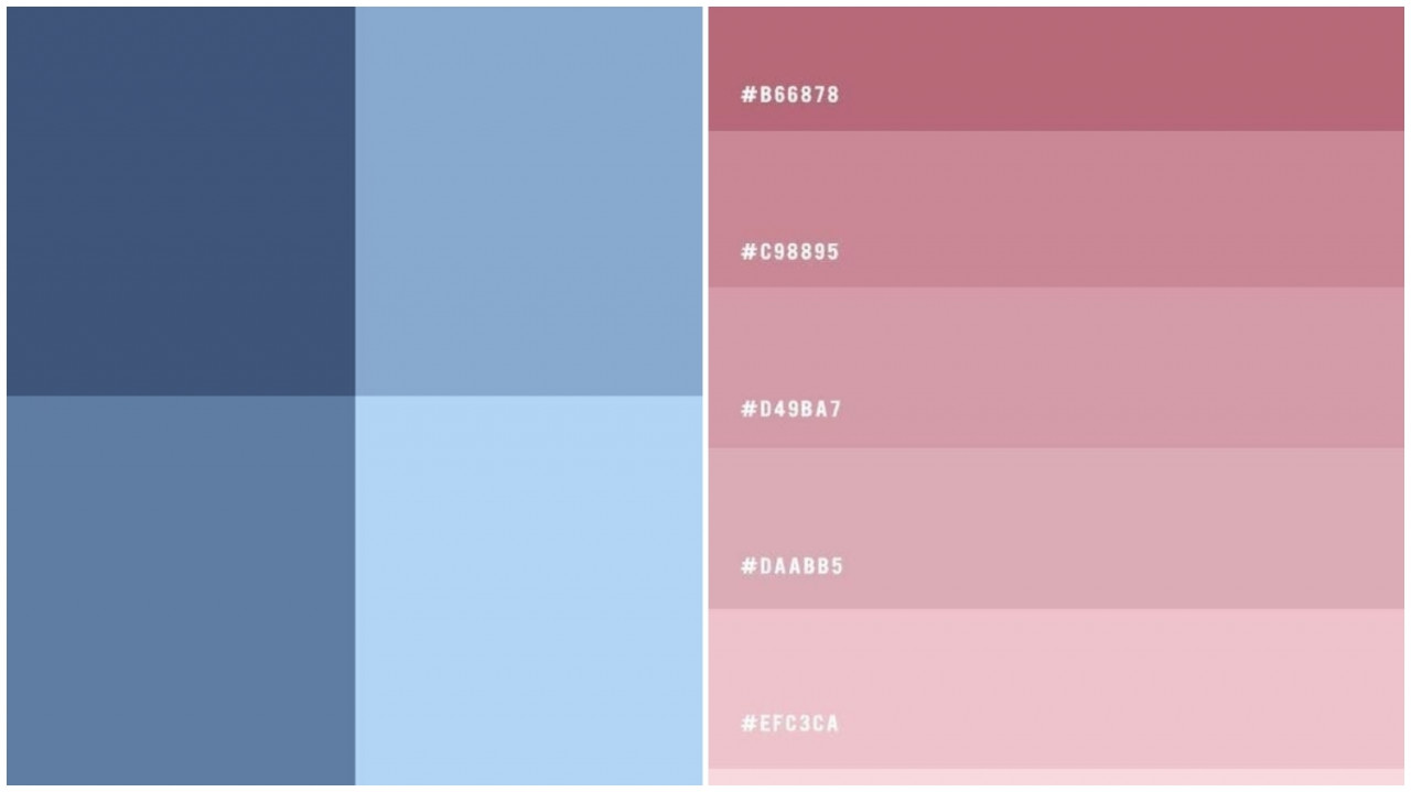 269557-gallery-ecnepITFgW.png