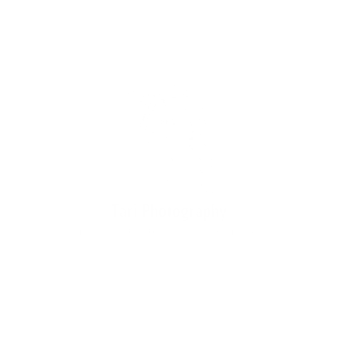 no-image.jpg