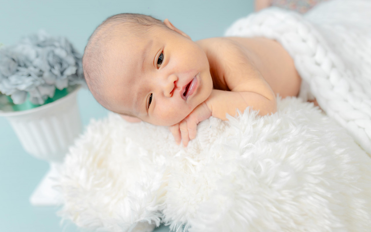 33886-gallery-1683075224.jpg