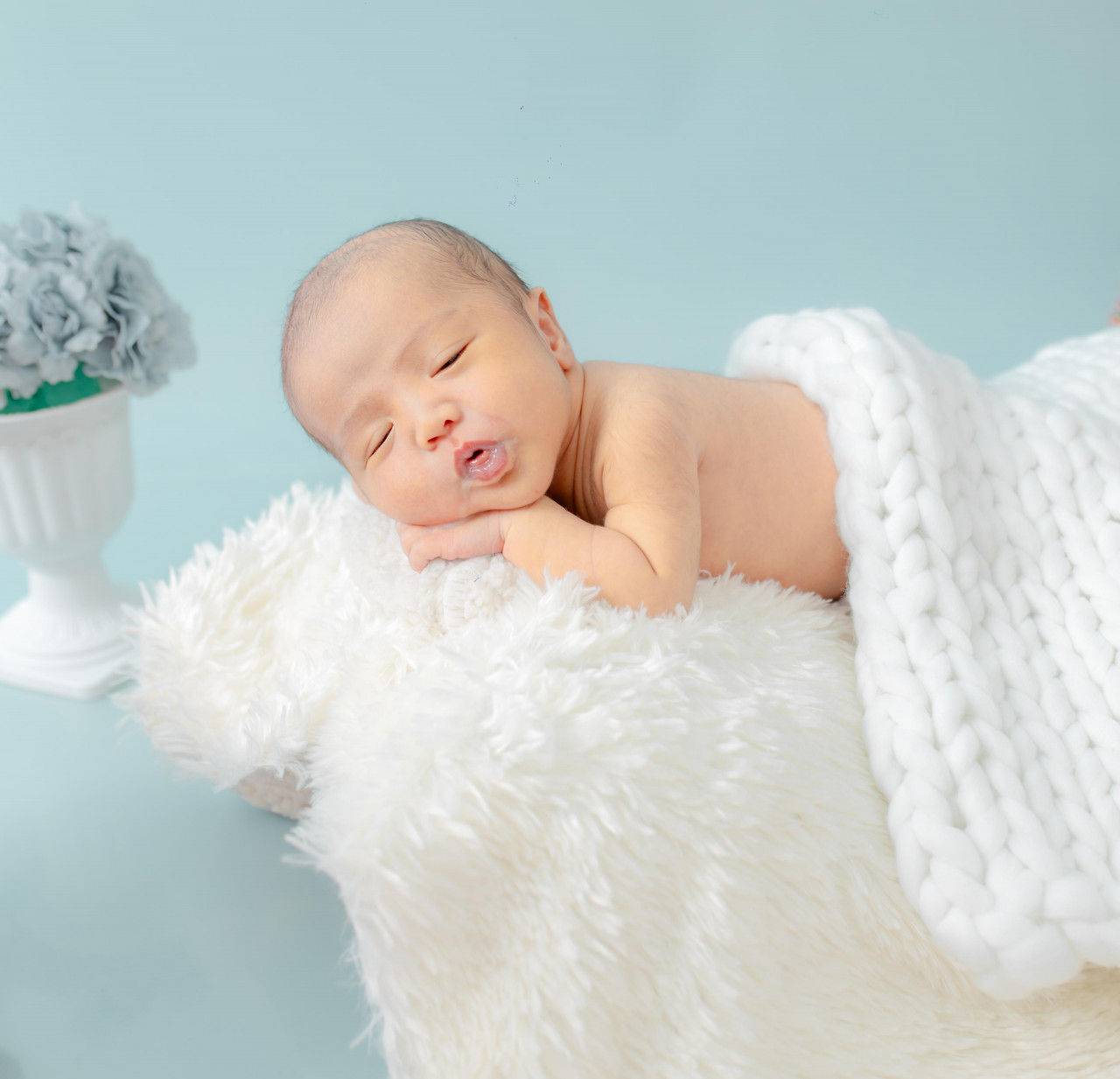 33886-gallery-1683075224.jpg