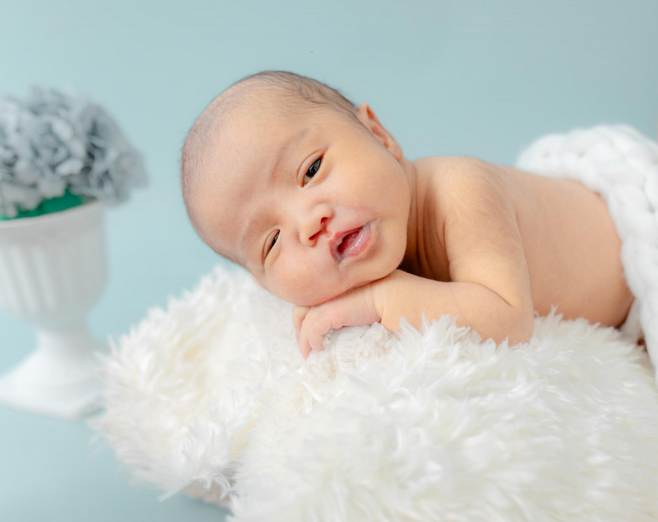 33886-gallery-1683075224.jpg
