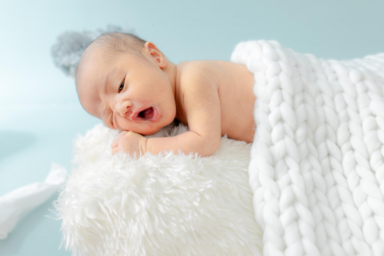 33886-gallery-1683075224.jpg