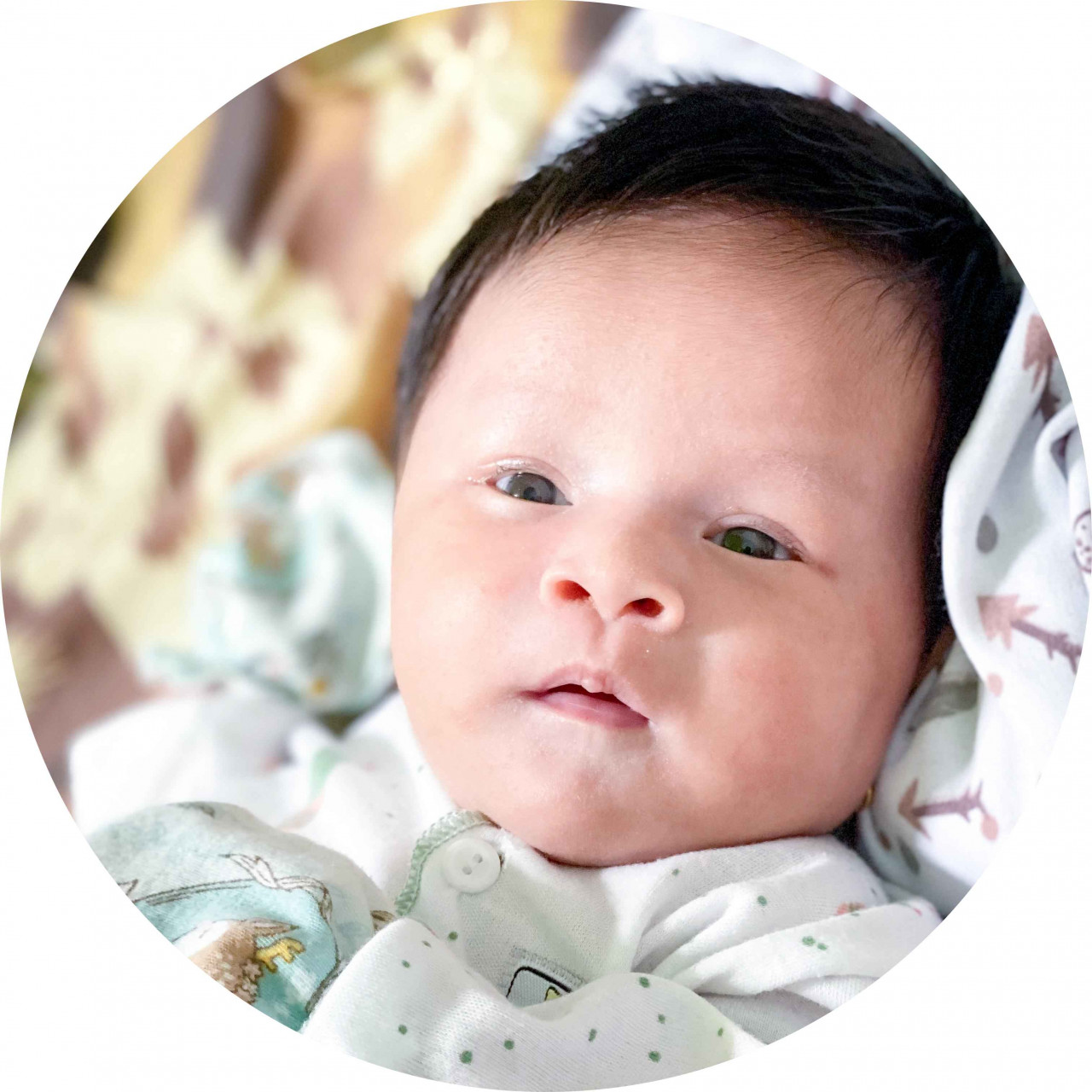 297870-gallery-NF8weaHRj2.png