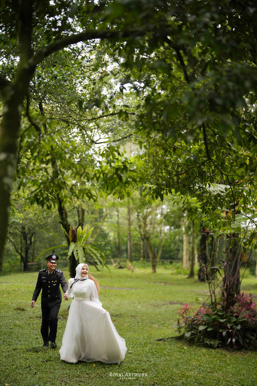 249089-gallery-dhqiNpxHUa.jpg