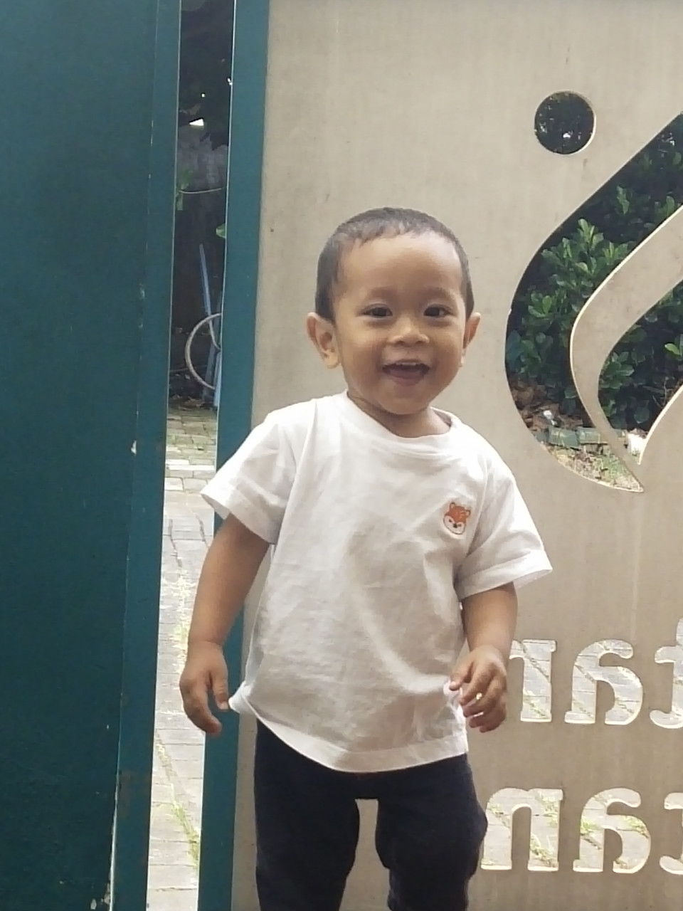 315950-gallery-Qk1tv26UsG.jpg