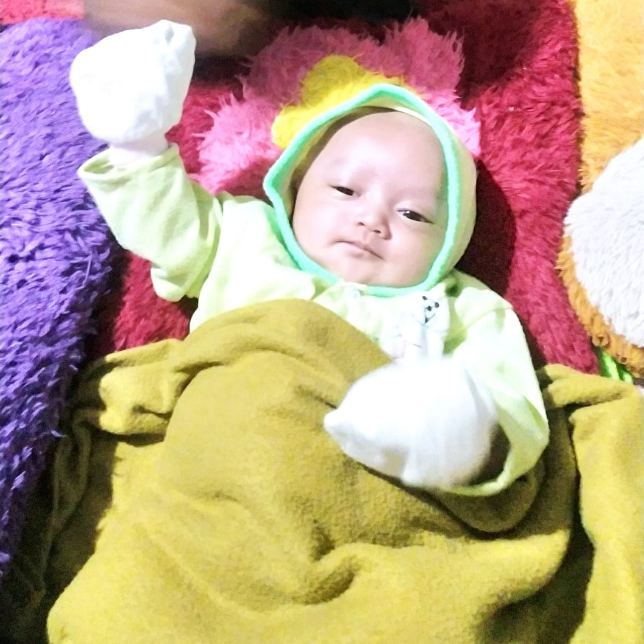 14074-gallery-1657368781.png