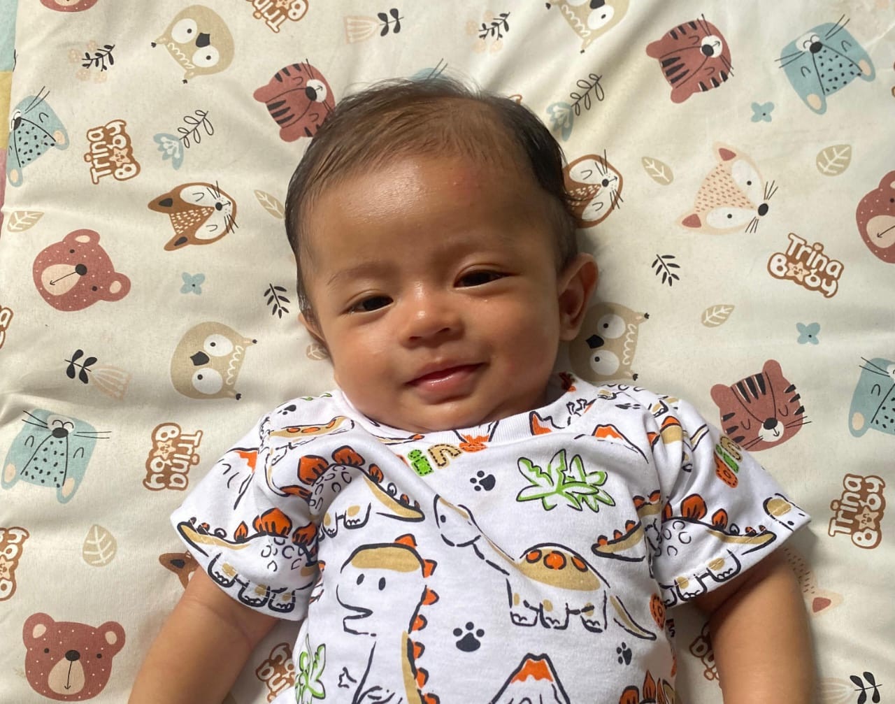 14074-gallery-1657368740.png