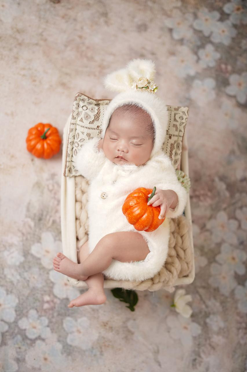 27259-gallery-1671952374.jpg