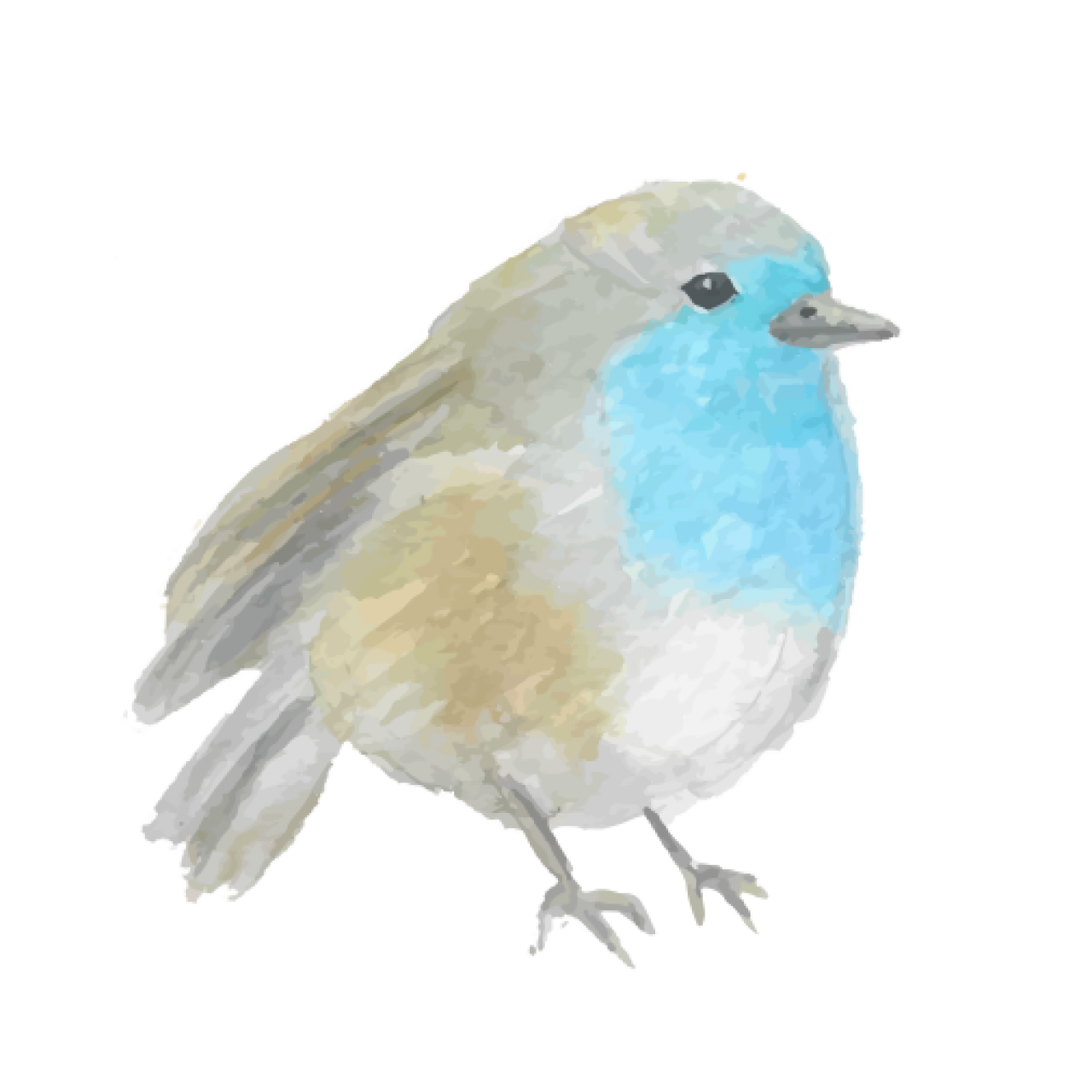 226447-gallery-1706002569.png