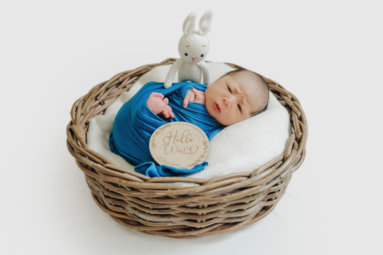 33886-gallery-1683075224.jpg