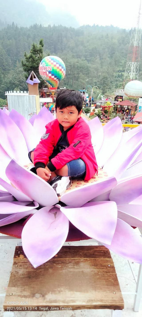 26803-gallery-1671248679.webp