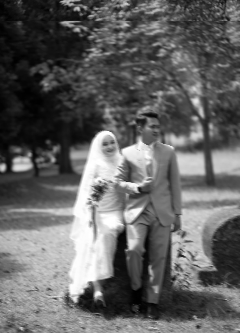 no-image.jpg