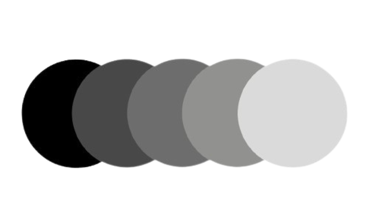 269557-gallery-ecnepITFgW.png