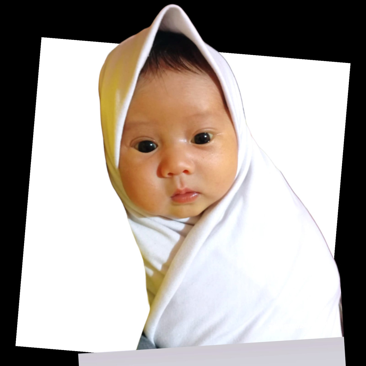 33886-gallery-1683075224.jpg