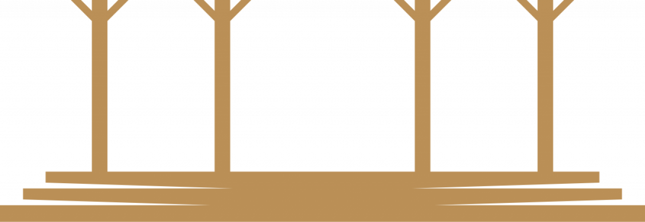no-image.jpg