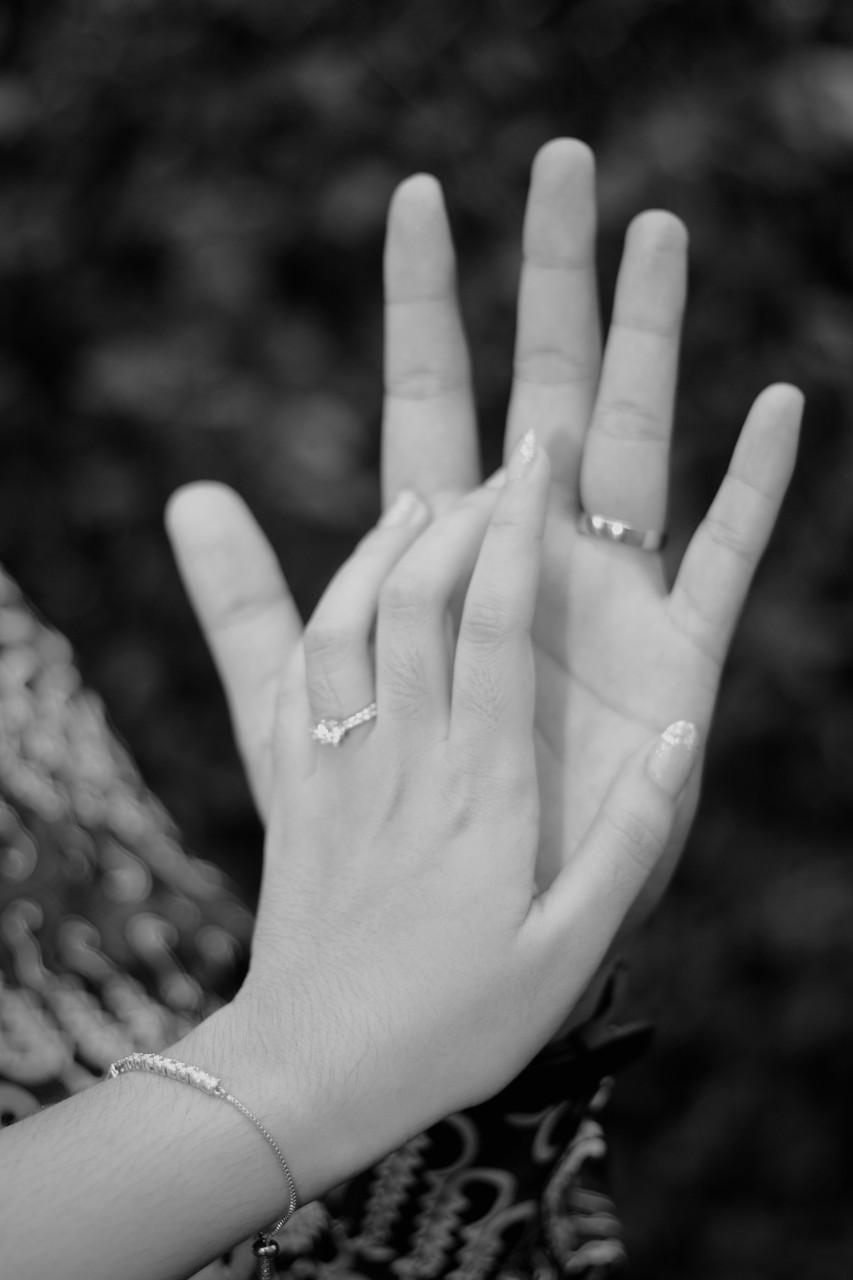 32840-gallery-1681321925.jpg