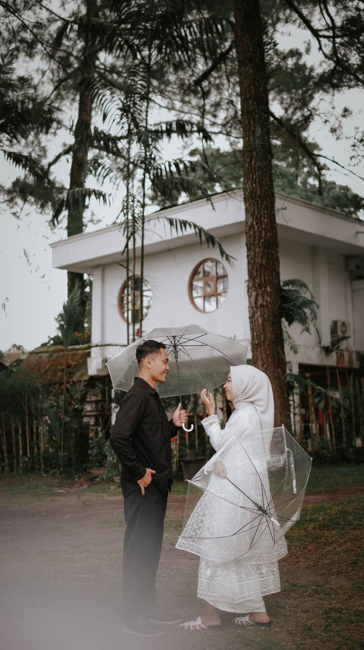 15847-gallery-1658425787.jpg