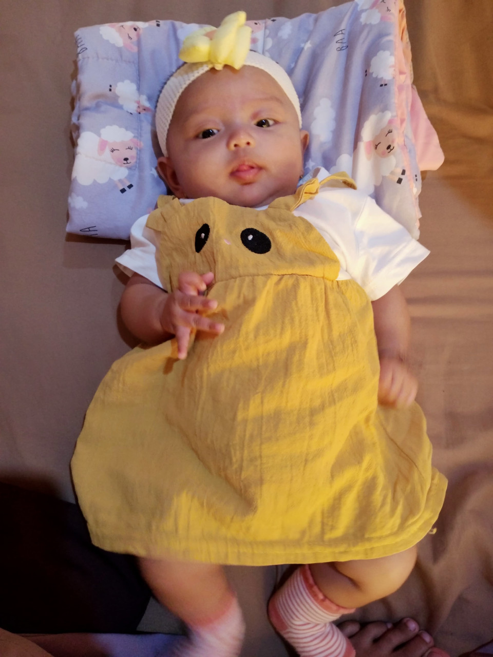 14074-gallery-1657368781.png