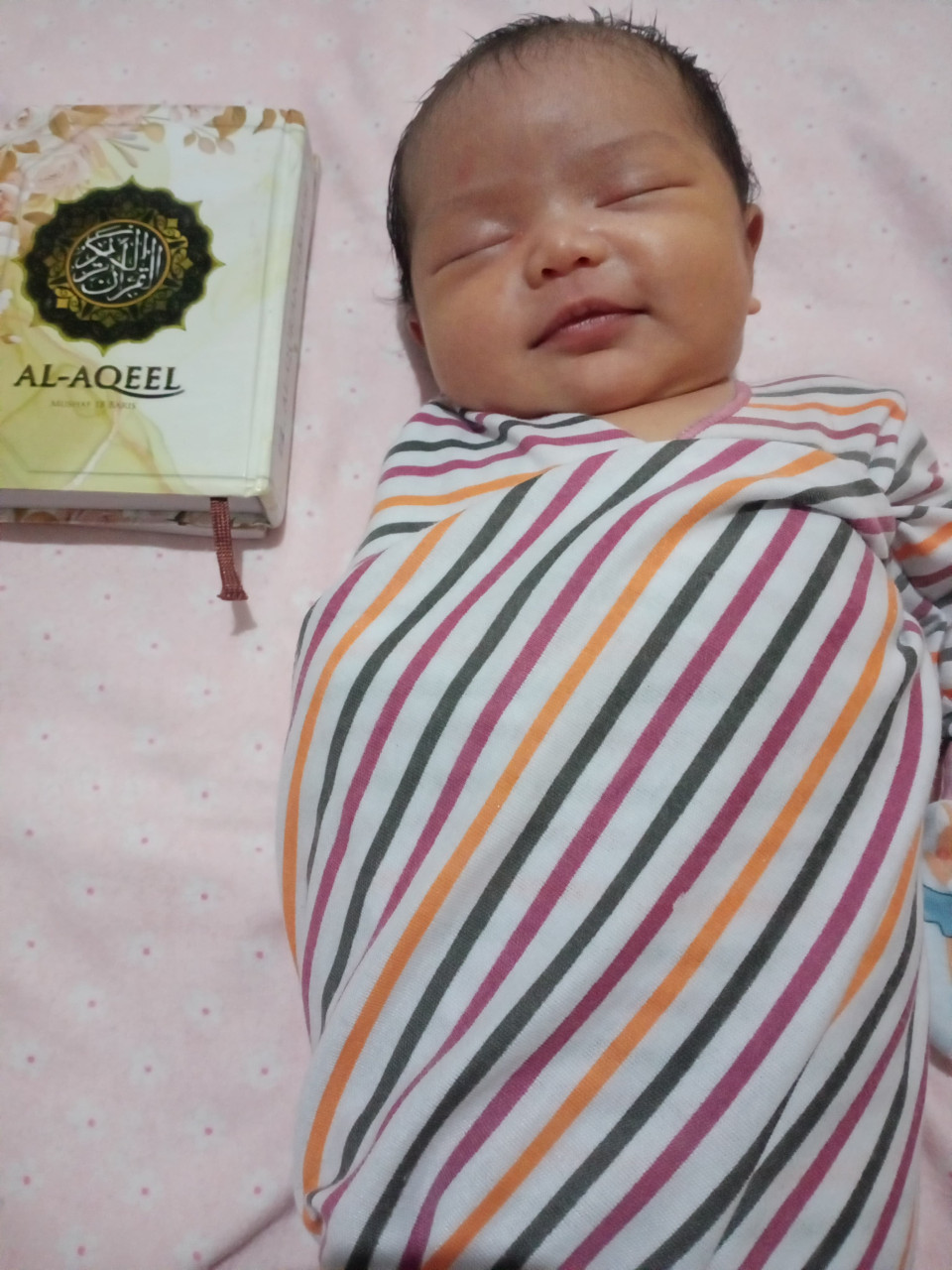 14074-gallery-1657368795.png