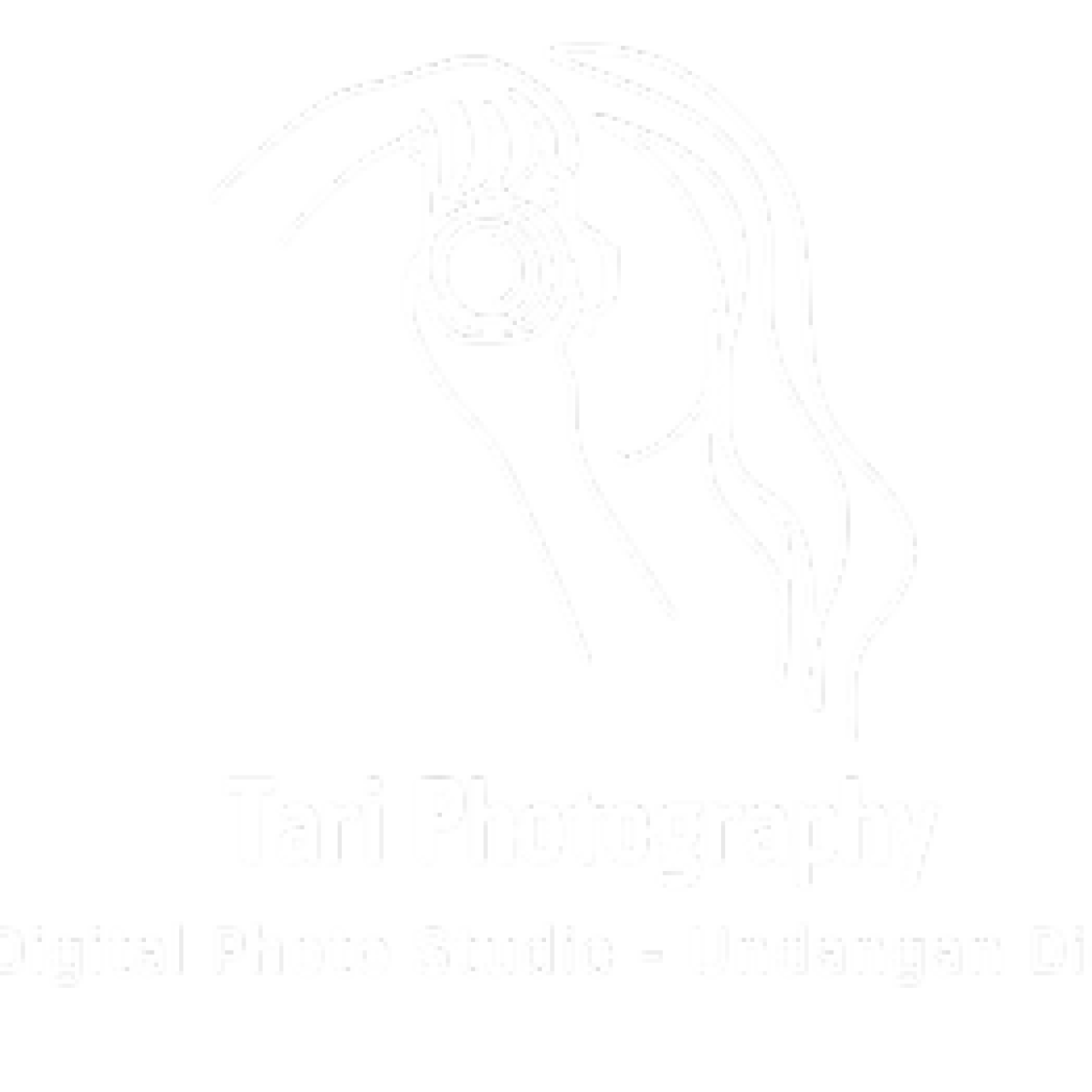 no-image.jpg