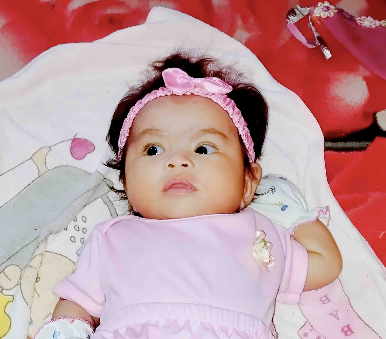 33886-gallery-1683075224.jpg