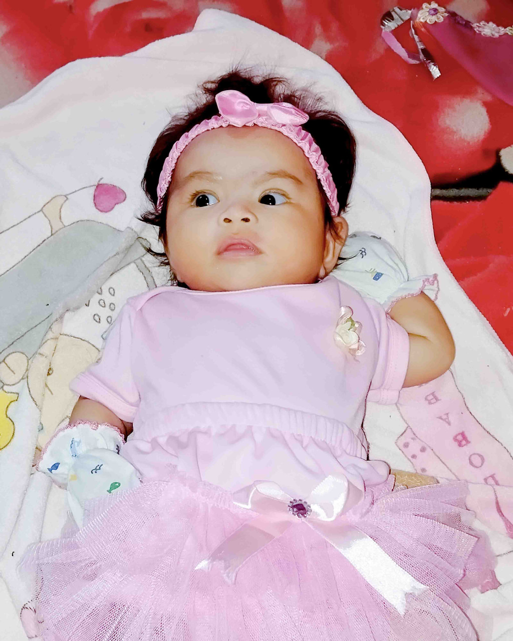 33886-gallery-1683075224.jpg