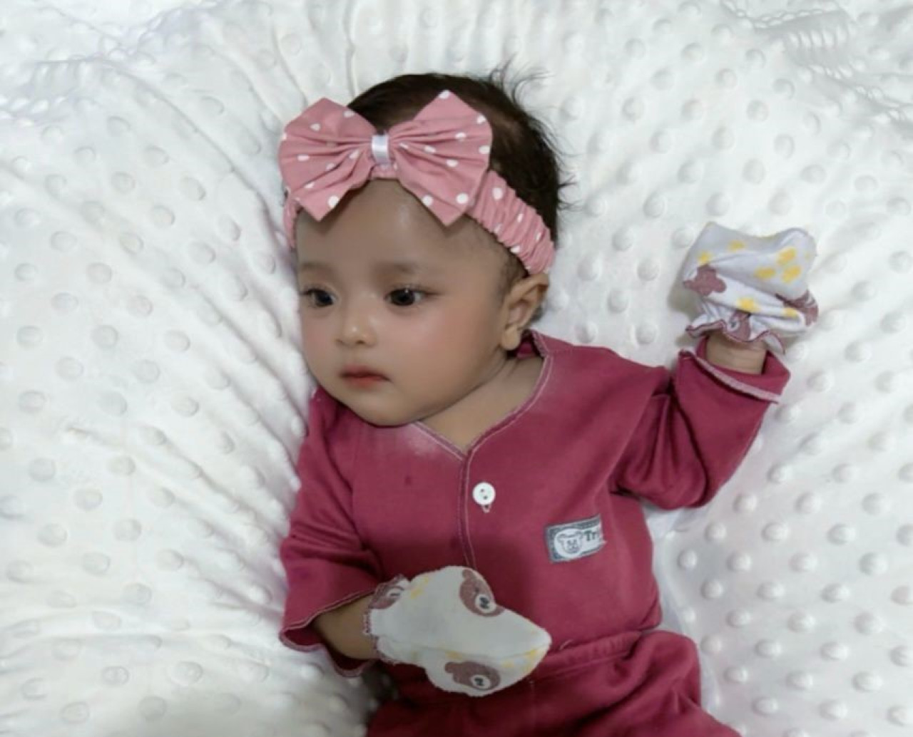 33886-gallery-1683075224.jpg