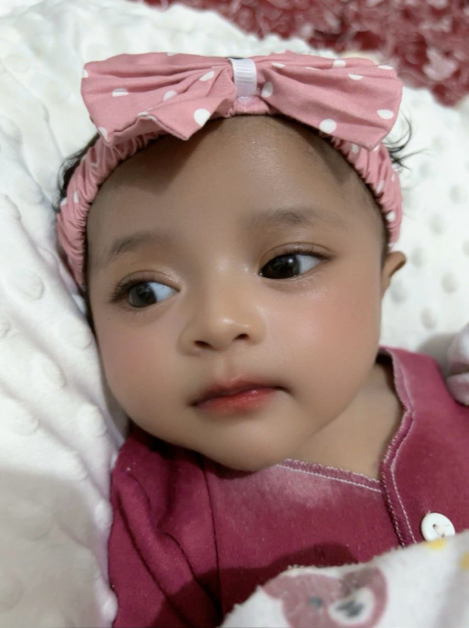 33886-gallery-1683075224.jpg