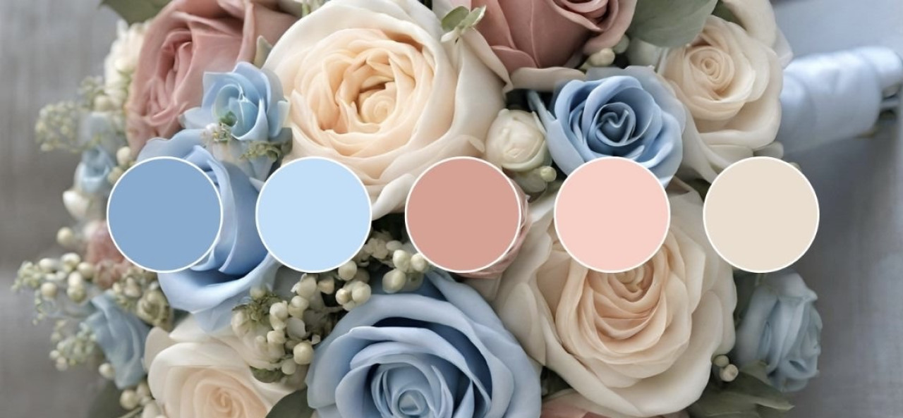 269557-gallery-ecnepITFgW.png