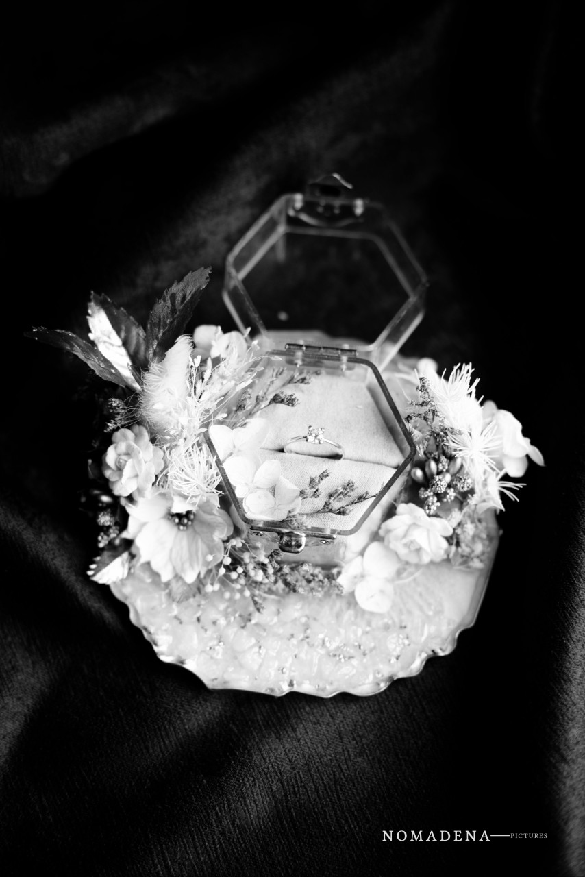 428451-gallery-Z6MojxEkZ4.jpg