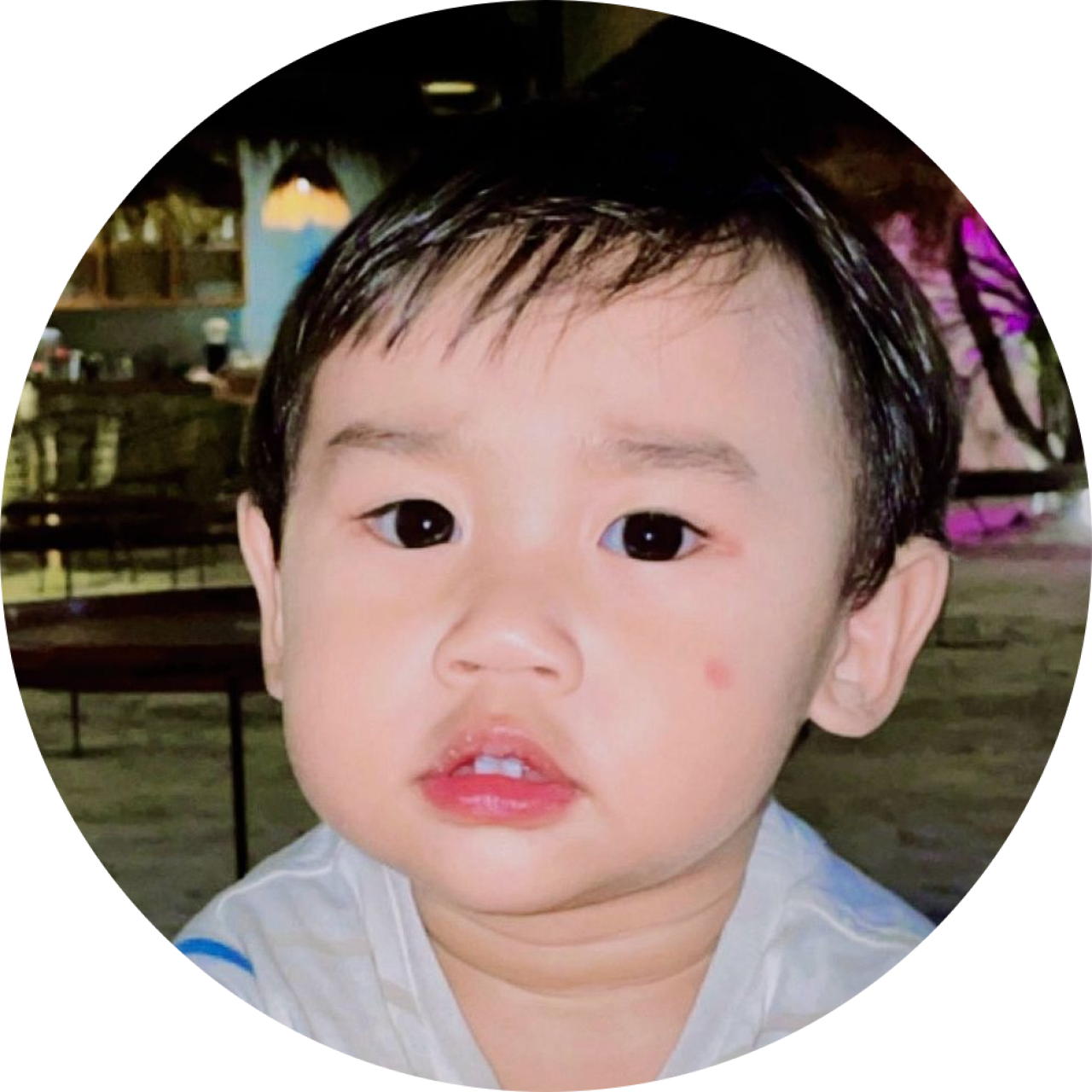279332-gallery-68A3qMuF3s.png