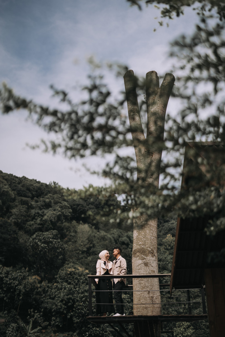 312963-gallery-VI8RLJXjtM.jpg