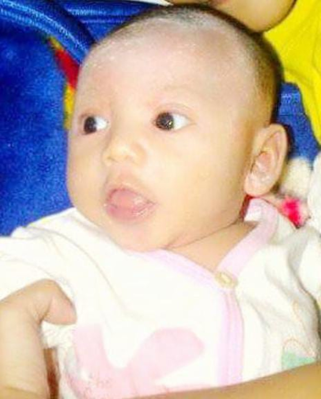 14074-gallery-1657368781.png