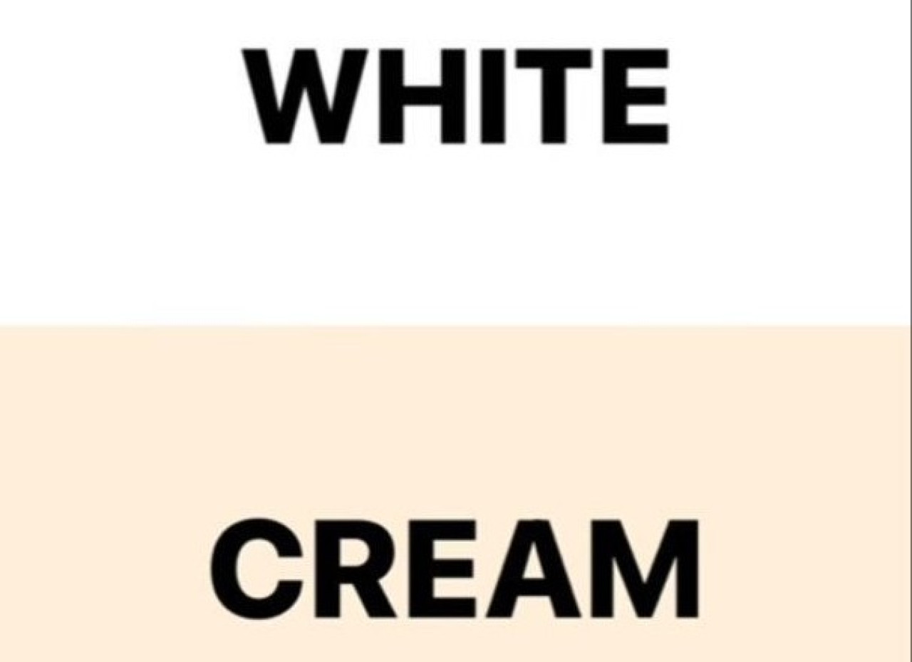 269557-gallery-ecnepITFgW.png